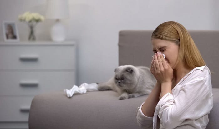 how to ge rid of cat allergies naturally