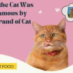 morris the cat was made famous by what brand of cat food