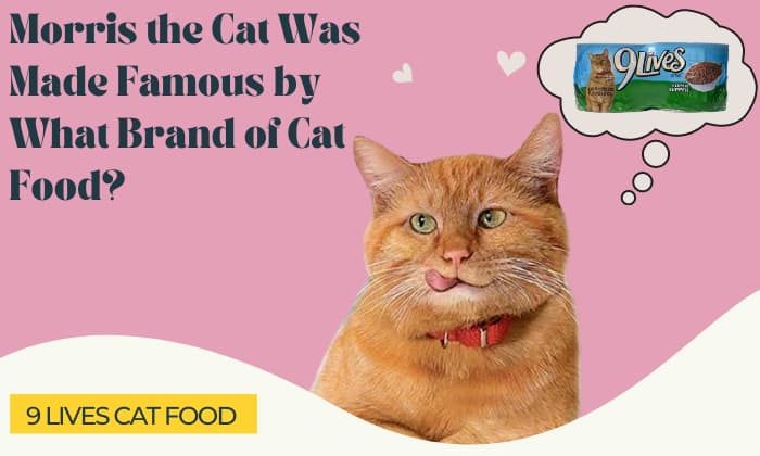 morris the cat was made famous by what brand of cat food