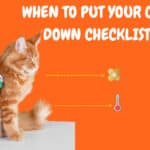 when to put your cat down checklist