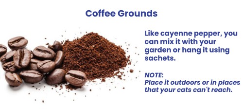 how-to-repel-cats-from-peeing-with-coffee-grounds