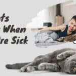 do cats know when you are sick