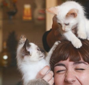 cat-eating-my-hair