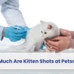 how much are kitten shots at petsmart