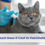how much does it cost to vaccinate a cat