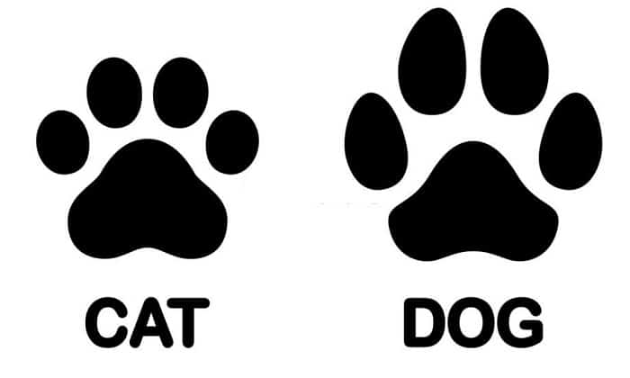 real-cat-paw-print