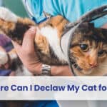 where can i declaw my cat for free