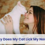 why does my cat lick my nose