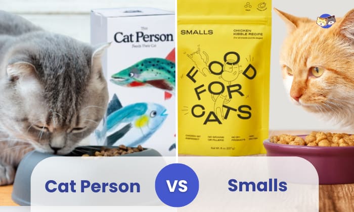 cat person vs smalls