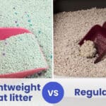 lightweight cat litter vs regular