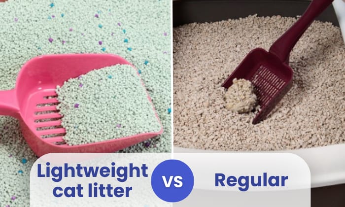 lightweight cat litter vs regular