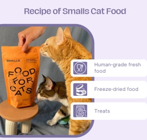 wet-food-of-smalls-cat-food