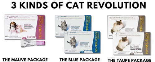 3-kinds-of-cat-revolution