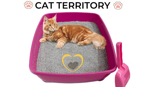 cat-territory