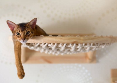 wall-hammock