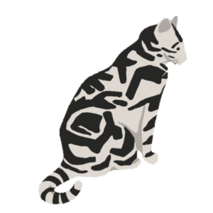 Classic-coat-pattern-of-Tabby-vs-Tiger-Cat