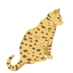Spotted-coat-pattern-of-Tabby-vs-Tiger-Cat
