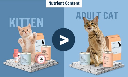 nutrient-content-in-kitten-vs-adult-cat-food