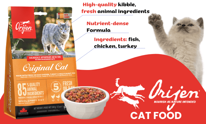 Overview-about-Orijen-Cat-Foods