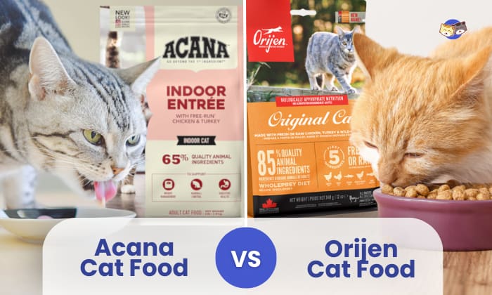 acana vs orijen cat food