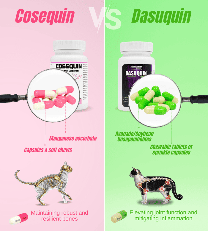 dasuquin-vs-cosequin-for-cat