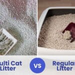 multi cat litter vs regular