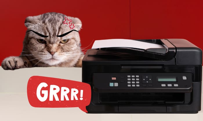Cat-vs-fax-Machine-Scenario