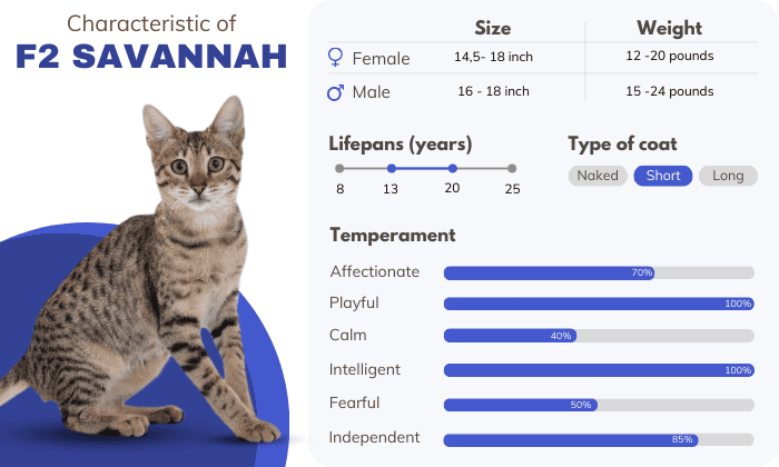 Characteristic-of-F2-Savannah
