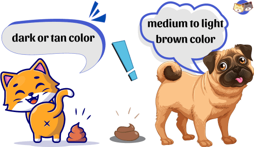 Color-of-cat-poop-vs-dog-poop