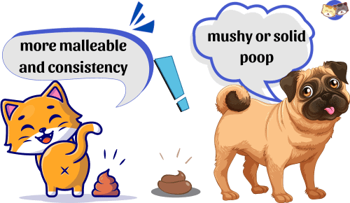 Consistency-of-cat-poop-vs-dog-poop