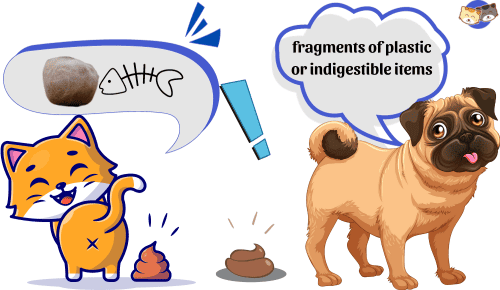 Content-of-cat-poop-vs-dog-poop