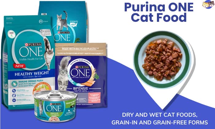 Overview-of-Purina-ONE-Cat-Food