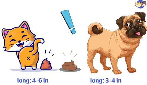 Size-of-cat-poop-vs-dog-poop