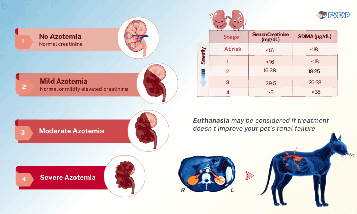 Stages-of-Kidney-Failure