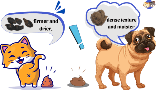 Texture-of-cat-poop-vs-dog-poop