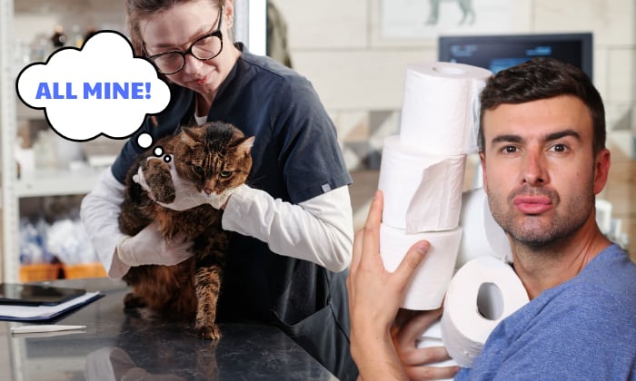 The-risk-when-Cats-Eat-too-much-Toilet-Paper