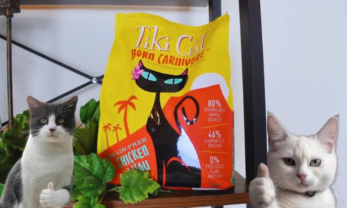 Tiki-Cat-Food-is-a-good-for-cats
