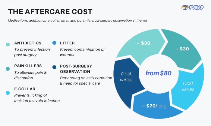 aftercare-cost-chart
