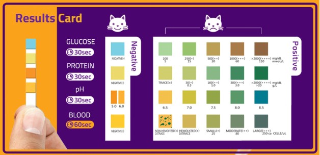 cat-urine-chart