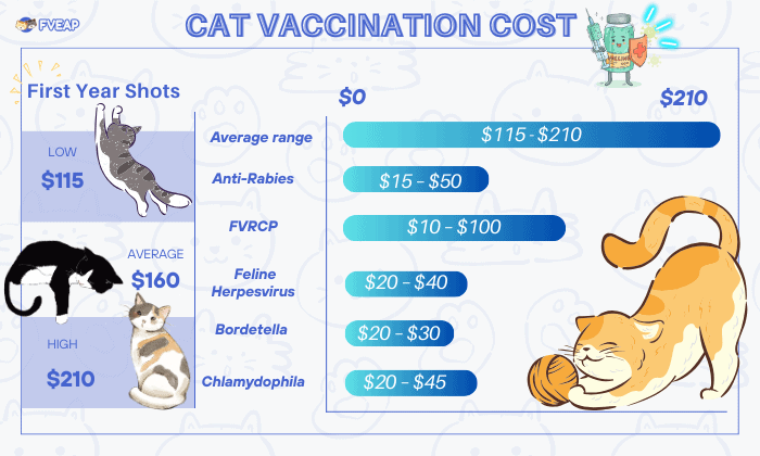 cat-vaccination-cost