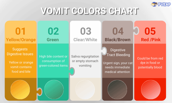 cat-vomit-colors-chart