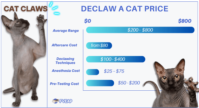 cost-to-declaw-a-cat