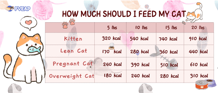 how-much-you-should-feed-a-cat-each-day