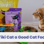 is tiki cat a good cat food