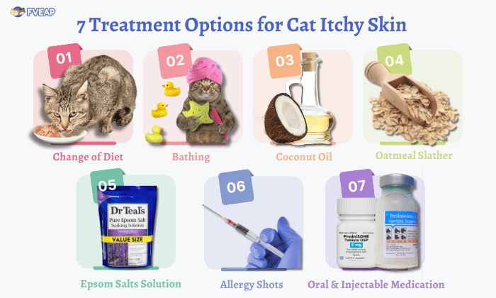 treatment-options-for-cat-itchy-skin