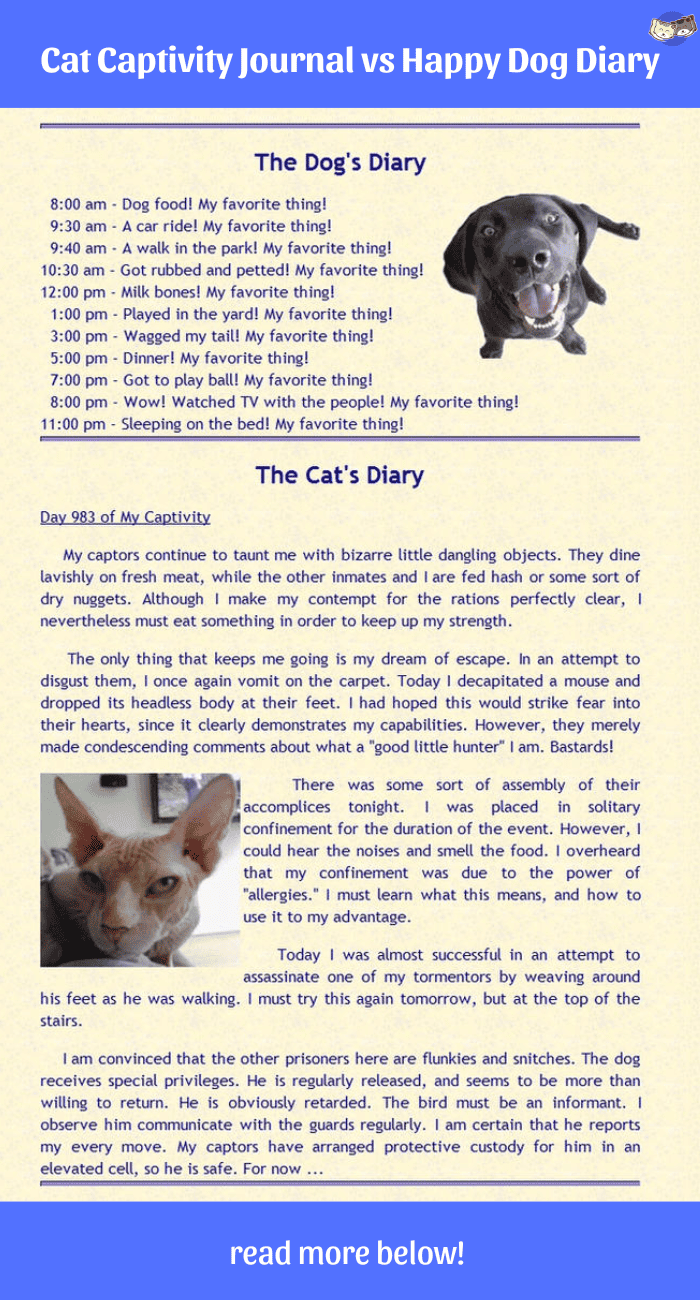 Cat-Captivity-Journal-vs-Happy-Dog-Diary