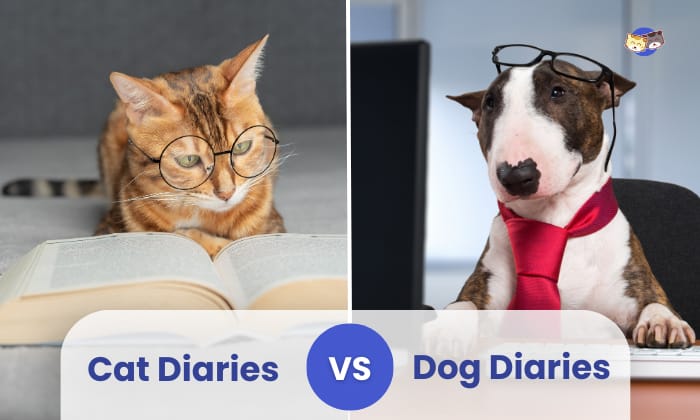 cat diaries vs dog diaries