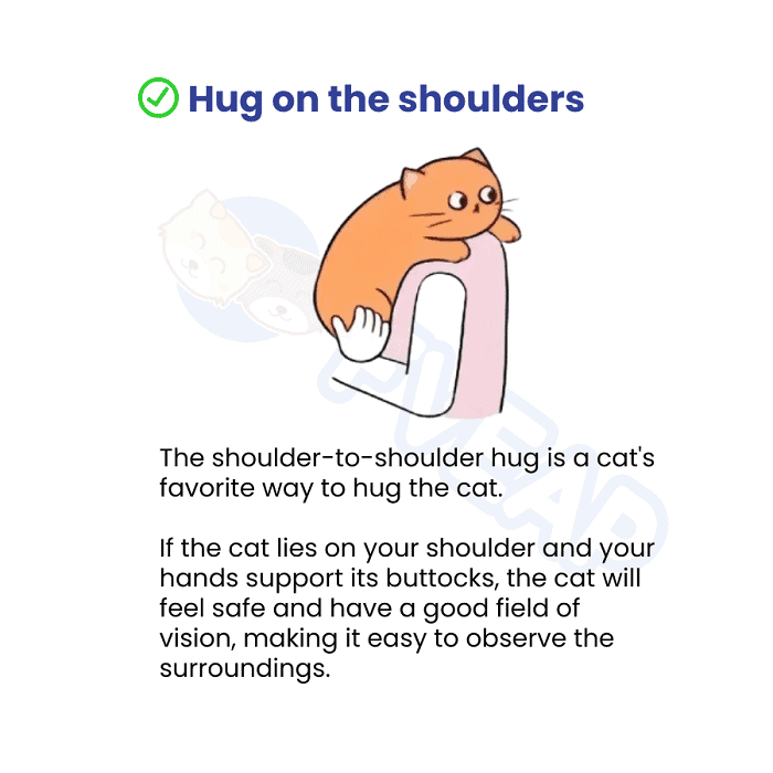 hug-on-the-shoulders