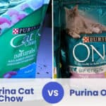 purina cat chow vs purina one (1)