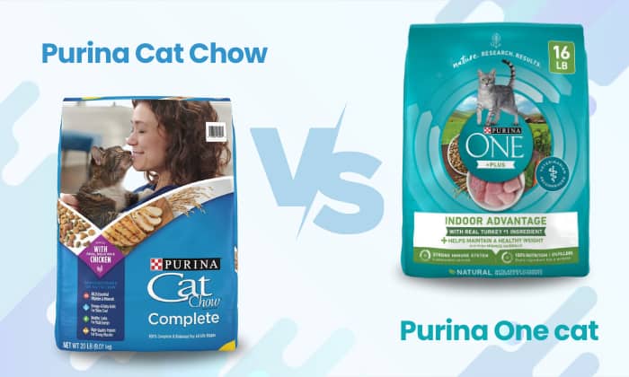 purina-one-vs-cat-chow-comparison